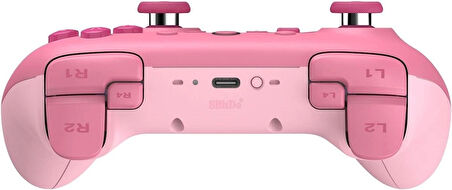 8Bitdo Nintendo Switch Ultimate 2C Bluetooth Kablosuz Controller (Pembe)