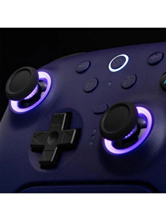 8Bitdo Ultimate 2 Kablosuz Oyun Kolu Windows & Android Uyumlu Hall Effect 2.4G Controller Mor