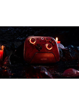 8Bitdo Ultimate 2 Kablosuz Oyun Kolu Windows & Android Uyumlu Hall Effect 2.4G Controller WUCHANG