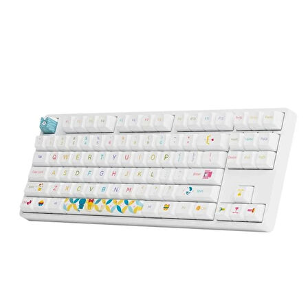 AKKO Doraemon Rainbow 5087s TKL RGB Mekanik Gaming Klavye