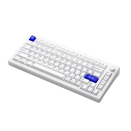 AKKO MOD 007B PC Blue on White RGB Kablosuz Hotswap Mekanik Gaming Klavye