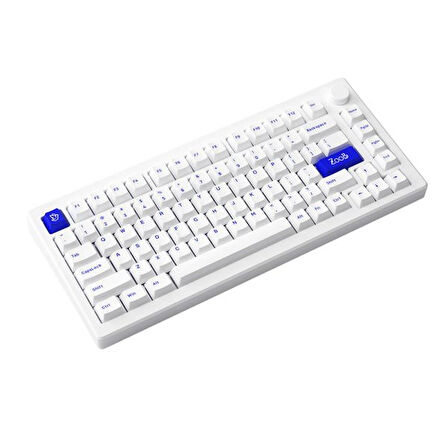 AKKO MOD 007B PC Blue on White RGB Kablosuz Hotswap Mekanik Gaming Klavye