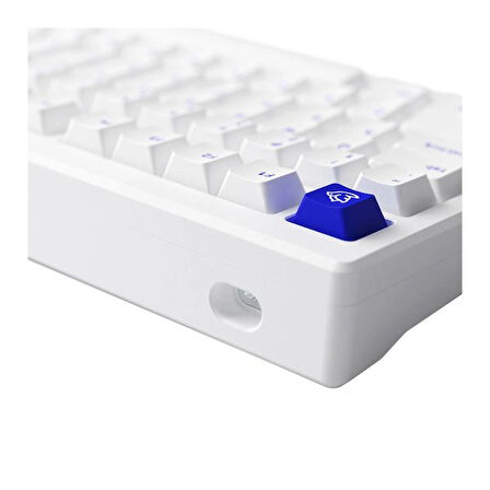 AKKO MOD 007B PC Blue on White RGB Kablosuz Hotswap Mekanik Gaming Klavye