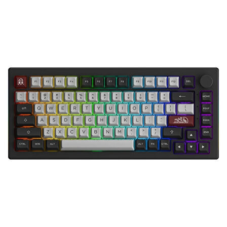 AKKO 5075B Plus Dracula Castle Dracula Switch RGB Kablosuz Hotswap Mekanik Gaming Klavye