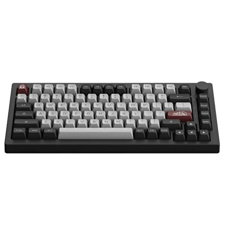 AKKO 5075B Plus Dracula Castle Dracula Switch RGB Kablosuz Hotswap Mekanik Gaming Klavye