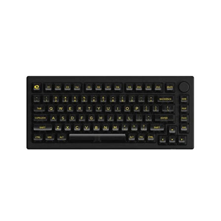 AKKO 5075B Plus Shine-Through Black RGB Kablosuz Hotswap Mekanik Gaming Klavye