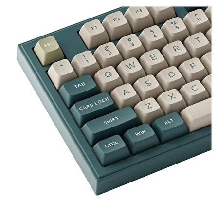 AKKO Ink Green 5098B RGB Kablosuz Hotswap Mekanik Gaming Klavye