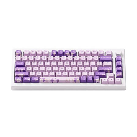 AKKO MOD 007 HE PC Purple Melody Hall Effect Manyetik Switch RGB Hotswap Mekanik Gaming Klavye