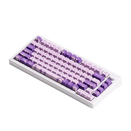 AKKO MOD 007 HE PC Purple Melody Hall Effect Manyetik Switch RGB Hotswap Mekanik Gaming Klavye