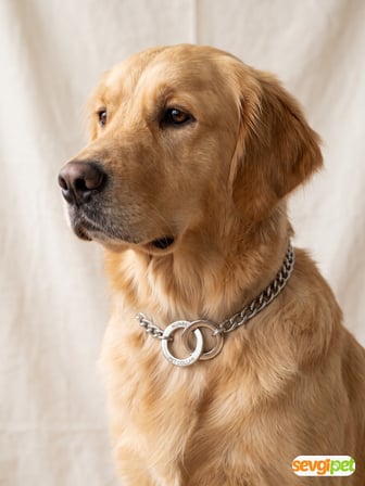 Köpek Boyun Tasması Uzun Halkalı Boğma Zincir 3,5 MM 65 CM