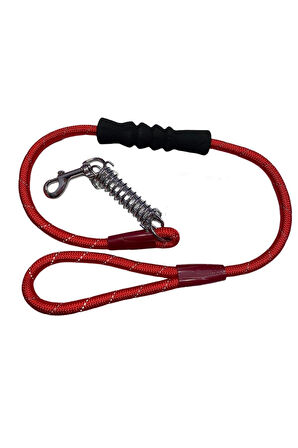 Nunbell Renkli Fitil Köpek Gezdirme Yaylı 12mm*120cm