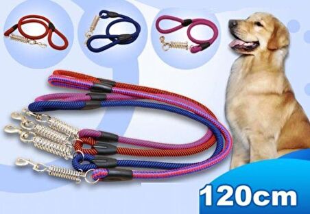 Maxi Life Fitil Uzatma Yaylı Köpek Gezdirme 18mmx120cm