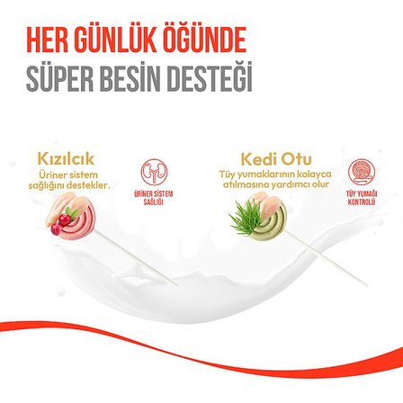 Wanpy LolliPop Dondurularak Kurutulmuş Kızılcıklı Lolipop Kedi Ödülü 1,4gr (10'lu)