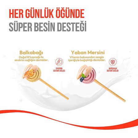Wanpy LolliPop Dondurularak Kurutulmuş Balkabaklı Lolipop Köpek Ödülü 6 gr (10'lu)