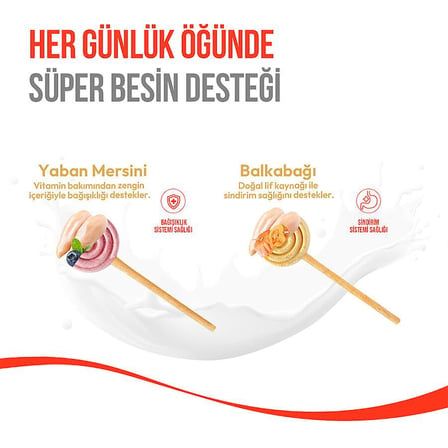 Wanpy LolliPop Dondurularak Kurutulmuş Yaban Mersinli Lolipop Köpek Ödülü 6 gr (10'lu)