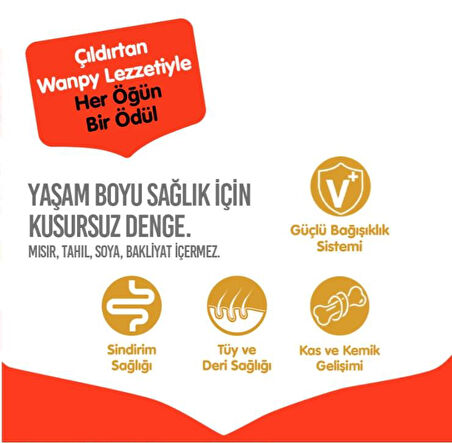 Wanpy Tahılsız Sığır Etli Yetişkin Köpek Maması 12 kg