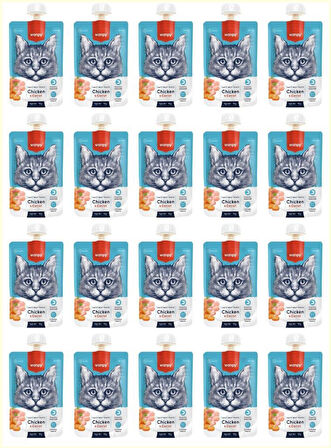 Wanpy Taze Tavuklu & Havuçlu Kedi Et Ezmesi 90 Gr*20 Lİ PAKET