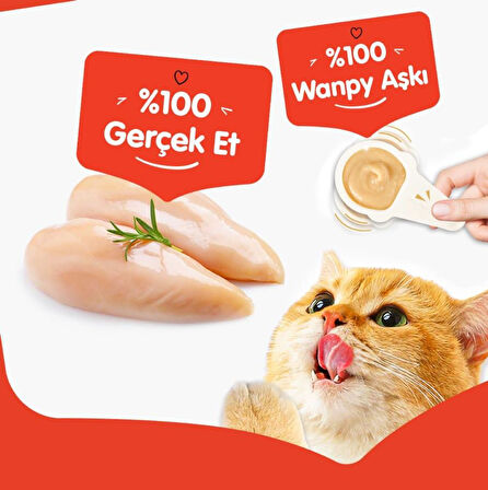 Wanpy Tavuklu Kaşık Krema Kedi Ödül Maması 10x16gr