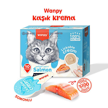 Wanpy Somonlu Kaşık Krema Kedi Ödül Maması 10x16gr