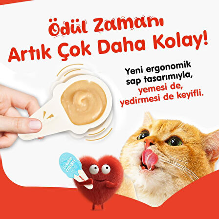 Wanpy Somonlu Kaşık Krema Kedi Ödül Maması 10x16gr