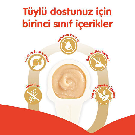 Wanpy Somonlu Kaşık Krema Kedi Ödül Maması 10x16gr