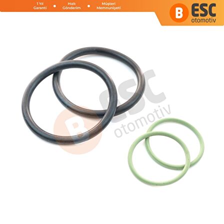BMW N40 N42 N45 N46 N62 N73 Motor İçin Vanos O Ring Conta Seti 11367506178 11367546379