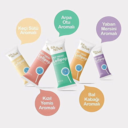  Kedi Lolipop Bal Kabak Aromalı Dondurularak Kurutulmuş Kedi Ödülü Lolipopu 1 Adet