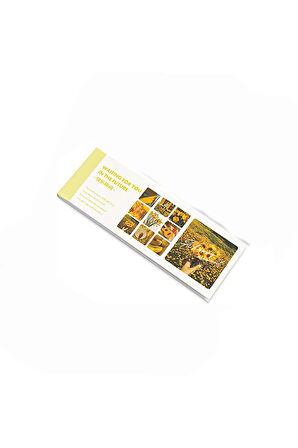 A Happy Moment Temalı 30 Sayfa Sticker Seti • Bullet Journal (GGK-DH052)
