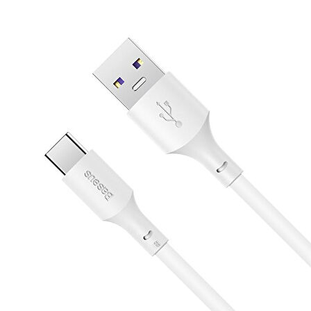 Baseus Simple Wisdom 100W USB to Type-C Hızlı Data Şarj Kablosu
