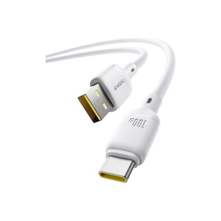 Baseus Silky Series USB To Type-C 100W Hızlı Şarj Kablosu 1m - Beyaz