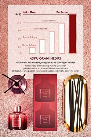 Holiday Serisi Parfüm Difüzörü KUNDAL Perfume Diffuser Holiday Edition 200ml 2Adet (Rose Wood)