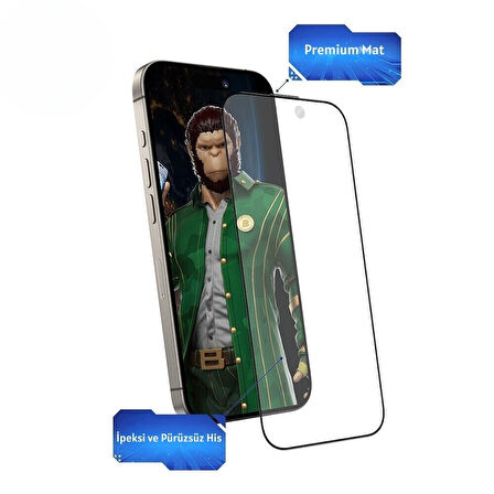 Blueo iPhone 16 Pro Uyumlu Full Cover Anti-Glare Glass Anti Static Ekran Koruyucu
