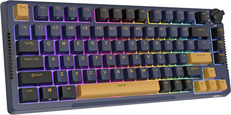 Royal Kludge RK H81 Star Night Skycyan Switch Gri/Siyah PBT RGB Hot Swappable Kablosuz Gaming Mekanik Klavye