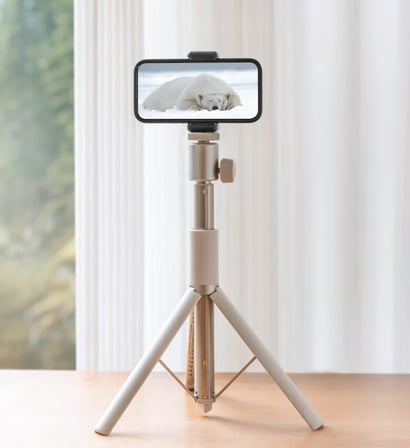 XGIMI LIGHT GOLD PORTABLE STAND