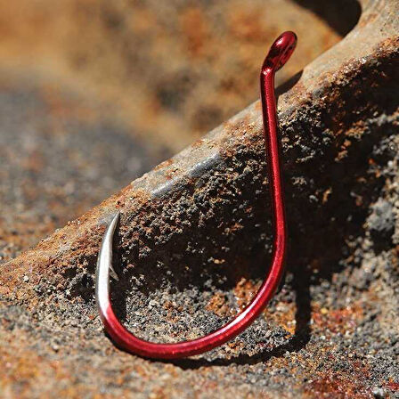 BKK Red Octopus Beak Olta İğnesi 8