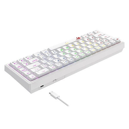 Havit Gamenote KB874L Mekanik Gaming %60 Beyaz Klavye