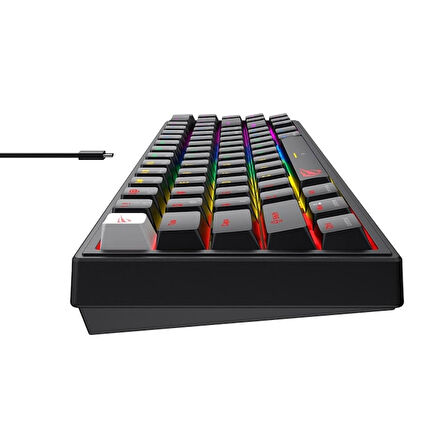 Havit Gamenote KB874L Mekanik Gaming %60 Siyah Klavye
