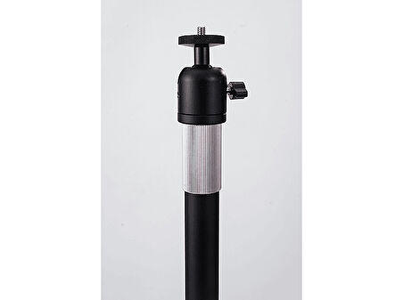 HAVIT MA305 Projeksiyon Ayaklı Taşınabilir Askı Aparatı Siyah