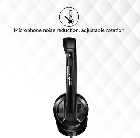 RAPOO H100 Kablolu Kulak Üstü Kulaklık - Mikrofonlu - 3.5mm - Siyah