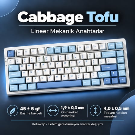 MCHOSE G75 Pro Blue %75 Cabbage Tofu Switch Hotswap RGB Kablosuz İngilizce Mekanik Gaming Klavye (G75-4A)