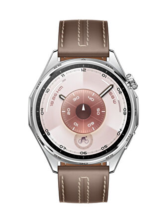 Huawei Watch GT6 46MM Kahverengi 
