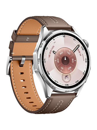 Huawei Watch GT6 46MM Kahverengi 