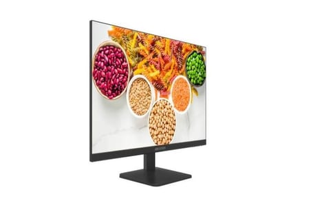 HIKVISION DS-D5027F2-1P2 FHD HDMI VGA 7/24 CCTV MONİTÖR