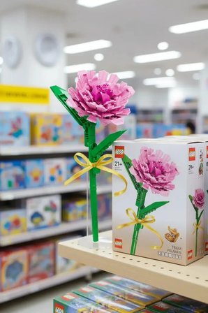 Miniso Lisanslı Çiçek Serisi Karanfil İnşa Blokları Seti ABS Dekoratif Çiçek Yapım Bloğu