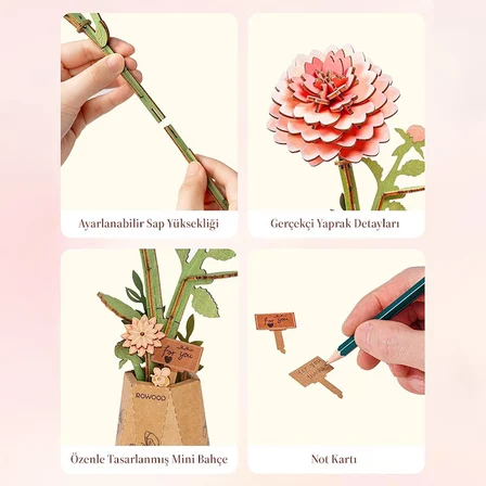 Rowood TW131 Yıldız Çiçeği Pink Dahlia DIY Minyatür Maket Model Set Ahşap 3D Wooden Puzzle Model Kit Ahşap Maket Dekoratif Hobi Seti