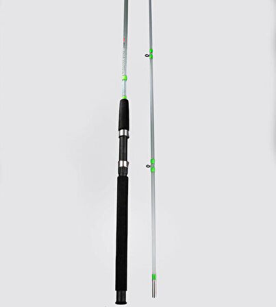 Alesta Niagara 1.65m 5-10lbs Tekne Kamışı