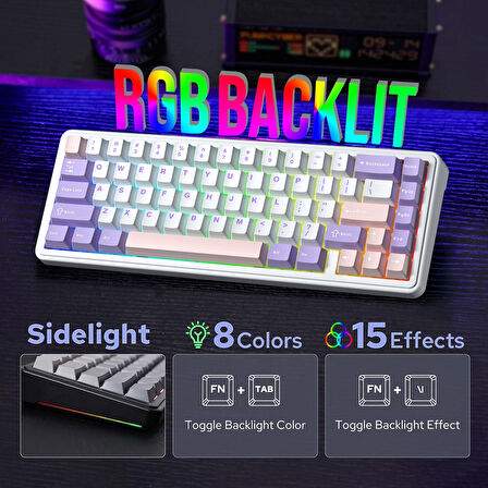 Aula F65 Nimbus V3 Switch Mekanik RGB TKL Makrolu Hot Swap Kablosuz Klavye Pastel