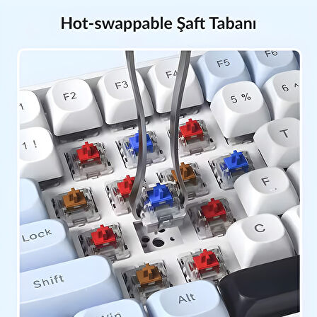 Aula S100 Pro Brown Switch How Swap RGB Mekanik Klavye Bluetooth Kablolu Kablosuz Bağlantı Buz Mavisi