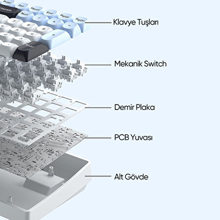 Aula S100 Pro Brown Switch How Swap RGB Mekanik Klavye Bluetooth Kablolu Kablosuz Bağlantı Buz Mavisi