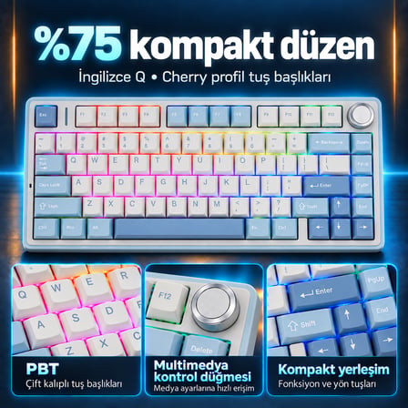 Aula F75 Mekanik RGB TKL Gray Switch Kablosuz Makrolu Hot Swap Klavye Buz Mavisi